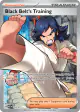 Black Belt's Training 255/217 Ultra Rare card from Ascended Heroes