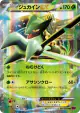 Sceptile-EX 007/081 Double Rare card from Bandit Ring (Japanese)