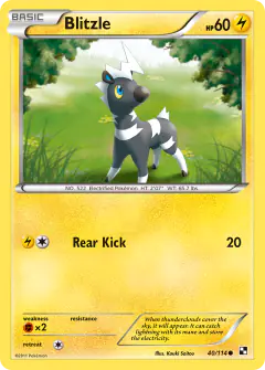 Blitzle 40/114 Common card from Black & White Base