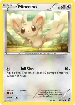 Minccino 88/114 Common card from Black & White Base