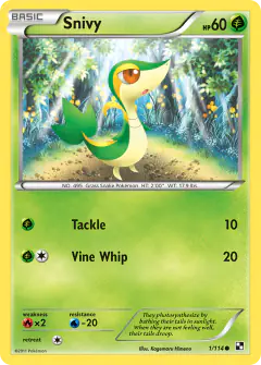 Snivy 1/114 Common card from Black & White Base