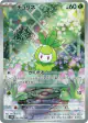 Petilil 091/086 Art Rare card from Black Bolt (Japanese)