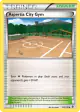 Aspertia City Gym 127/149 Uncommon card from Boundaries Crossed