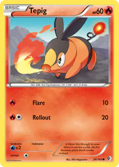 Tepig 24/149 Common card from Boundaries Crossed