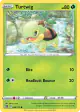 Turtwig 006/172 Common card from Brilliant Stars