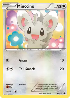 Minccino BW13 Promo card from BW Black Star Promos