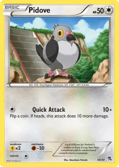 Pidove 14/30 Common card from BW Trainer Kit Zoroark