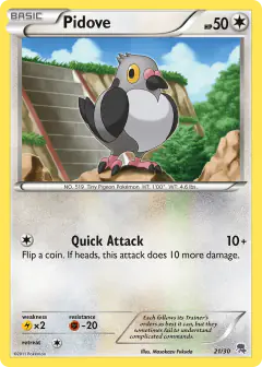 Pidove 21/30 Common card from BW Trainer Kit Zoroark