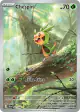 Chespin 087/086 Illustration Rare card from Chaos Rising