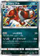 Krookodile 036/060 Rare card from Collection Sun (Japanese)