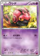 Venipede 024/060 Common card from Collection Y (Japanese)