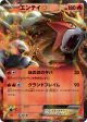 Entei-EX 009/069 Rare card from Dark Rush (Japanese)