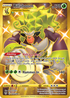 Rillaboom 197/189 Rare Secret card from Darkness Ablaze
