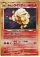 Light Arcanine No.059 Rare Holo card from Darkness, and to Light... (Japanese)