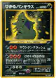 Shining Tyranitar No.248 Rare Holo card from Darkness, and to Light... (Japanese)