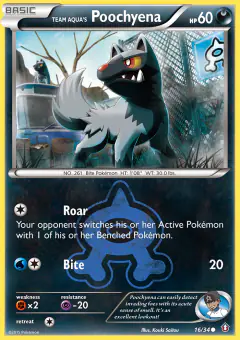 Team Aqua's Poochyena 16/34 Common card from Double Crisis