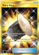 Fiery Flint 76/70 Rare Secret card from Dragon Majesty