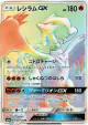 Reshiram-GX 060/053 Hyper Rare card from Dragon Storm (Japanese)