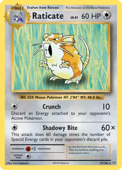 Raticate 67/108 Rare card from Evolutions
