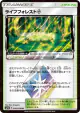 Life Forest ◇ 050/050 Prism Rare card from Fairy Rise (Japanese)