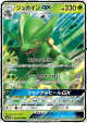 Sceptile-GX 005/050 Double Rare card from Fairy Rise (Japanese)