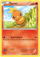 Torchic 12/111 Common card from Furious Fists