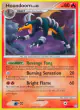 Houndoom 57/146 Uncommon card from Legends Awakened