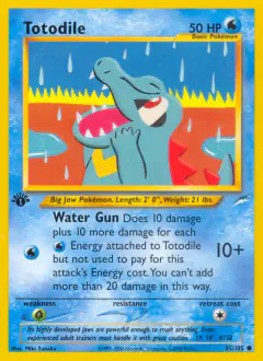 Totodile 85/105 Common card from Neo Destiny