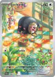 Lechonk 209/197 Illustration Rare card from Obsidian Flames