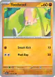 Toedscool 118/197 Common card from Obsidian Flames