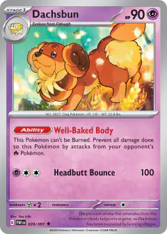 Dachsbun 039/091 Uncommon card from Paldean Fates
