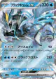 Black Kyurem ex 011/064 Double Rare card from Paradise Dragona (Japanese)