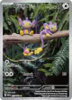 Aipom 211/182 Illustration Rare card from Paradox Rift