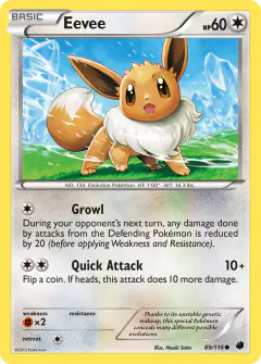 Eevee 89/116 Common card from Plasma Freeze