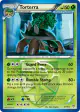 Torterra 3/135 Rare card from Plasma Storm