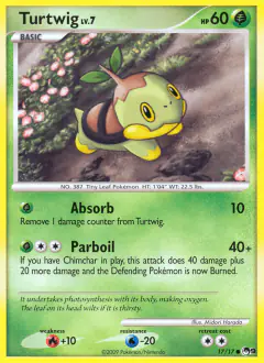 Turtwig 17/17 Common card from POP Series 9
