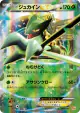 Sceptile-EX 006/131 card from Premium Champion Pack (Japanese)