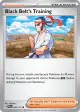 Black Belt's Training 099/131 Common card from Prismatic Evolutions