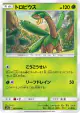 Tropius 005/064 Common card from Remix Bout (Japanese)