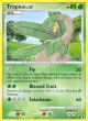 Tropius 52/111 Uncommon card from Rising Rivals