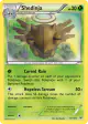 Shedinja 11/108 Rare card from Roaring Skies