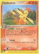 Combusken 28/109 Uncommon card from Ruby & Sapphire