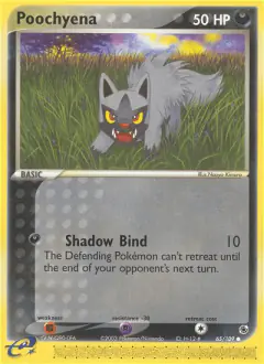 Poochyena 65/109 Common card from Ruby & Sapphire