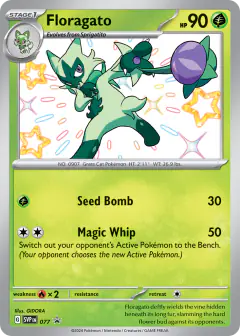Floragato 077 Promo card from Scarlet & Violet Black Star Promos