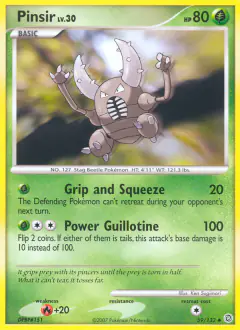 Pinsir 59/132 Uncommon card from Secret Wonders
