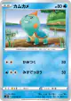 Chewtle 013/060 Common card from Shield (Japanese)