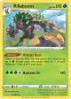 Rillaboom 013/072 Rare Holo card from Shining Fates