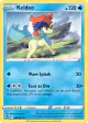 Keldeo 046/195 Rare card from Silver Tempest