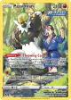Passimian TG08/TG30 Trainer Gallery Rare Holo card from Silver Tempest