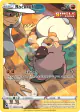 Rockruff TG07/TG30 Trainer Gallery Rare Holo card from Silver Tempest